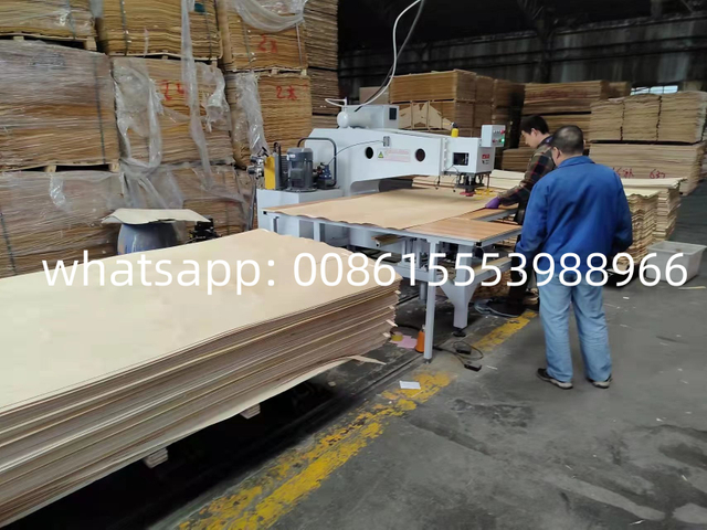 Veneer Patcher R3 for Wood Based Panels Machinery