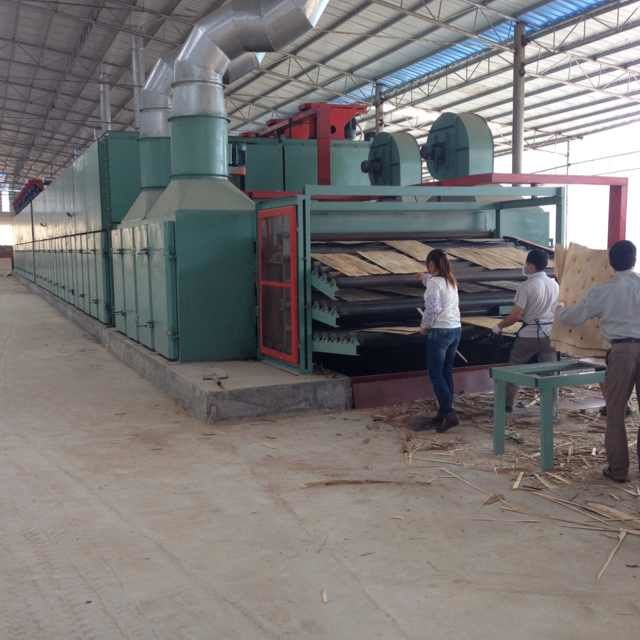 Wood Veneer Drying Machine for Plywood Plant